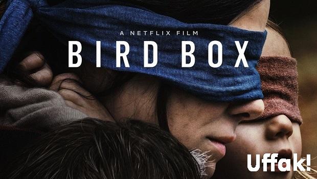 bird box 1