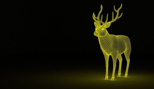 Google 3D Hayvanları İphone’da Nasıl Kullanılır?