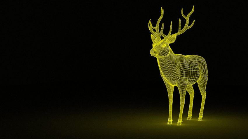 Google 3D Hayvanları İphone’da Nasıl Kullanılır?
